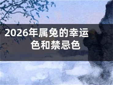 2026年属兔的幸运色和禁忌色