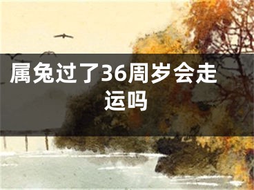 属兔过了36周岁会走运吗
