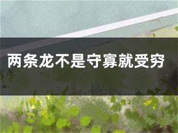 两条龙不是守寡就受穷
