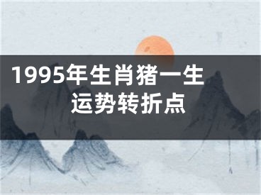 1995年生肖猪一生运势转折点