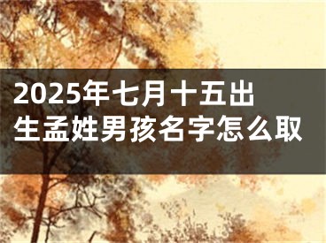 2025年七月十五出生孟姓男孩名字怎么取