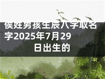侯姓男孩生辰八字取名字2025年7月29日出生的