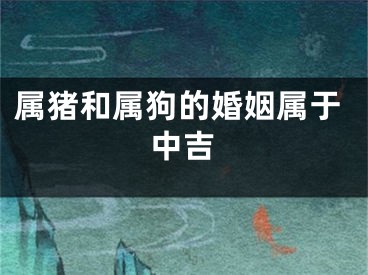 属猪和属狗的婚姻属于中吉