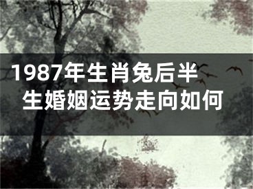 1987年生肖兔后半生婚姻运势走向如何