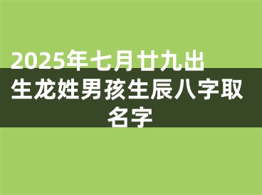 2025年七月廿九出生龙姓男孩生辰八字取名字