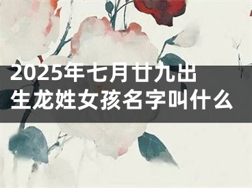 2025年七月廿九出生龙姓女孩名字叫什么