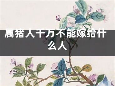 属猪人千万不能嫁给什么人