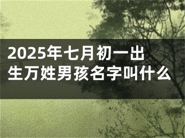 2025年七月初一出生万姓男孩名字叫什么