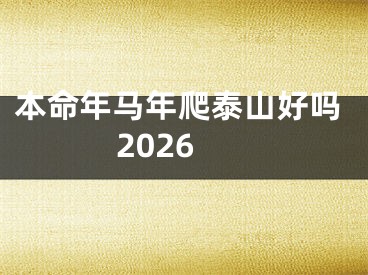 本命年马年爬泰山好吗2026