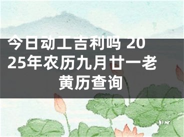 今日动工吉利吗 2025年农历九月廿一老黄历查询