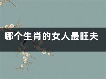 哪个生肖的女人最旺夫