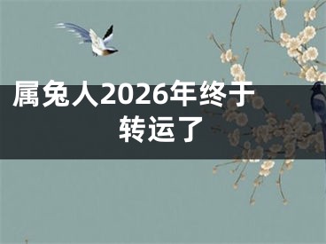属兔人2026年终于转运了