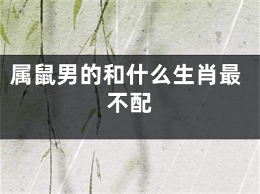 属鼠男的和什么生肖最不配