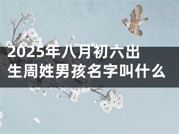 2025年八月初六出生周姓男孩名字叫什么