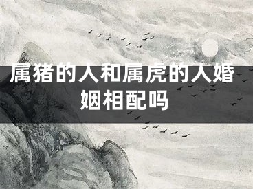属猪的人和属虎的人婚姻相配吗