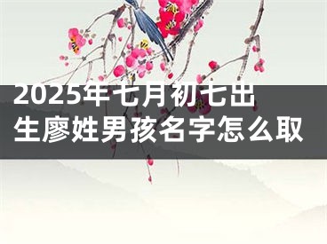 2025年七月初七出生廖姓男孩名字怎么取