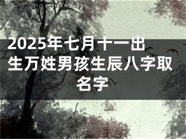 2025年七月十一出生万姓男孩生辰八字取名字