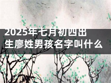 2025年七月初四出生廖姓男孩名字叫什么