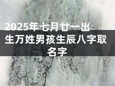 2025年七月廿一出生万姓男孩生辰八字取名字