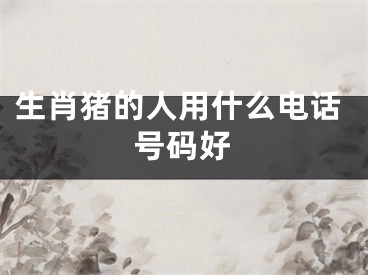 生肖猪的人用什么电话号码好