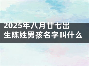 2025年八月廿七出生陈姓男孩名字叫什么