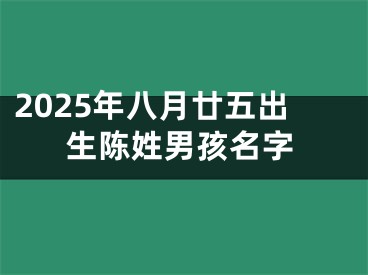 2025年八月廿五出生陈姓男孩名字