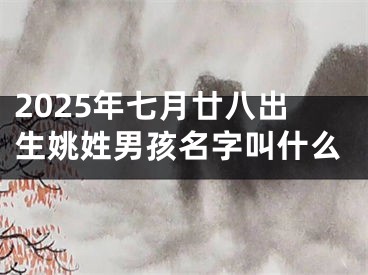 2025年七月廿八出生姚姓男孩名字叫什么