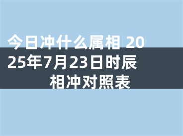 今日冲什么属相 2025年7月23日时辰相冲对照表
