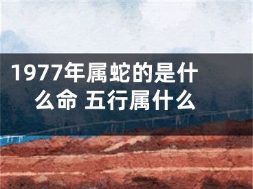 1977年属蛇的是什么命 五行属什么