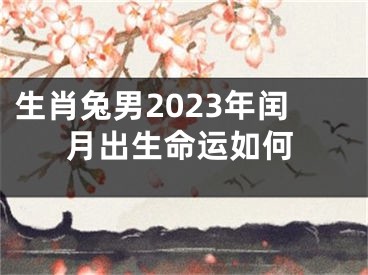 生肖兔男2023年闰月出生命运如何