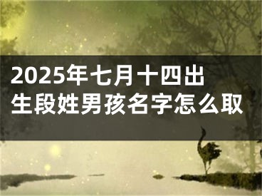 2025年七月十四出生段姓男孩名字怎么取