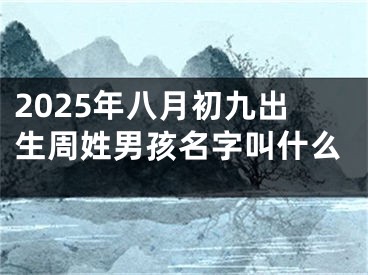 2025年八月初九出生周姓男孩名字叫什么