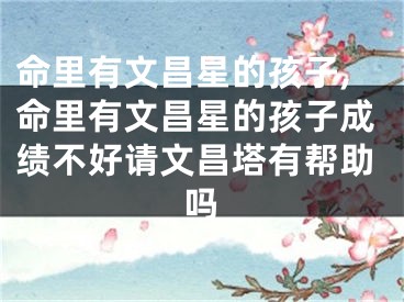 命里有文昌星的孩子,命里有文昌星的孩子成绩不好请文昌塔有帮助吗