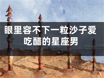 眼里容不下一粒沙子爱吃醋的星座男