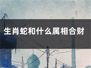 生肖蛇和什么属相合财