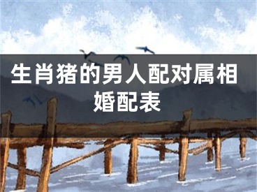 生肖猪的男人配对属相婚配表
