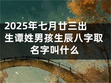 2025年七月廿三出生谭姓男孩生辰八字取名字叫什么 