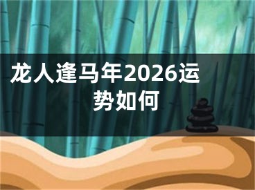龙人逢马年2026运势如何 