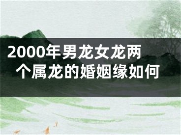 2000年男龙女龙两个属龙的婚姻缘如何