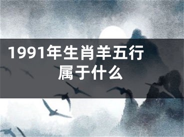 1991年生肖羊五行属于什么