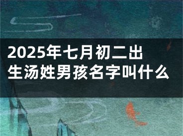 2025年七月初二出生汤姓男孩名字叫什么