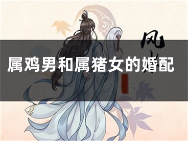 属鸡男和属猪女的婚配