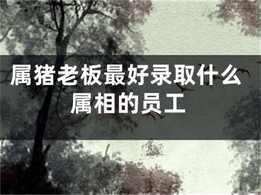 属猪老板最好录取什么属相的员工