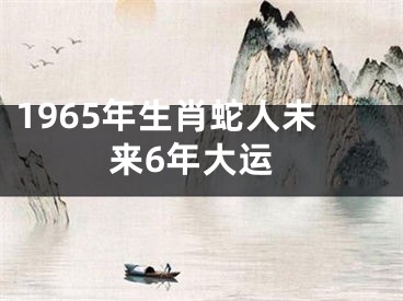 1965年生肖蛇人未来6年大运