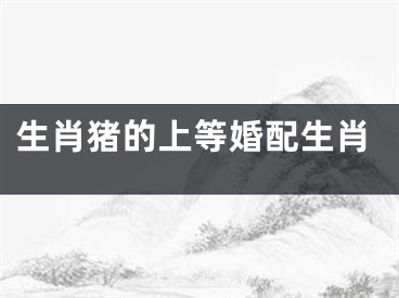 生肖猪的上等婚配生肖