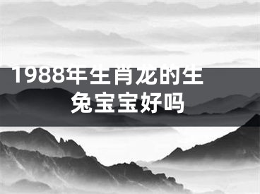 1988年生肖龙的生兔宝宝好吗