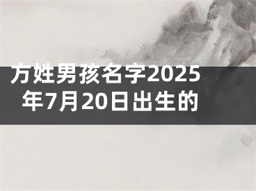 方姓男孩名字2025年7月20日出生的