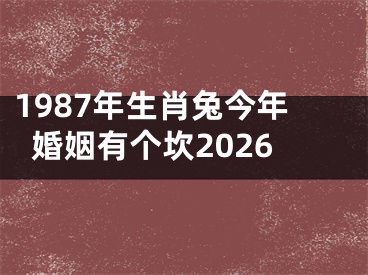 1987年生肖兔今年婚姻有个坎2026