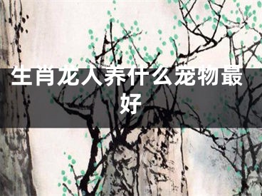 生肖龙人养什么宠物最好