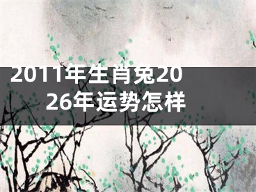 2011年生肖兔2026年运势怎样